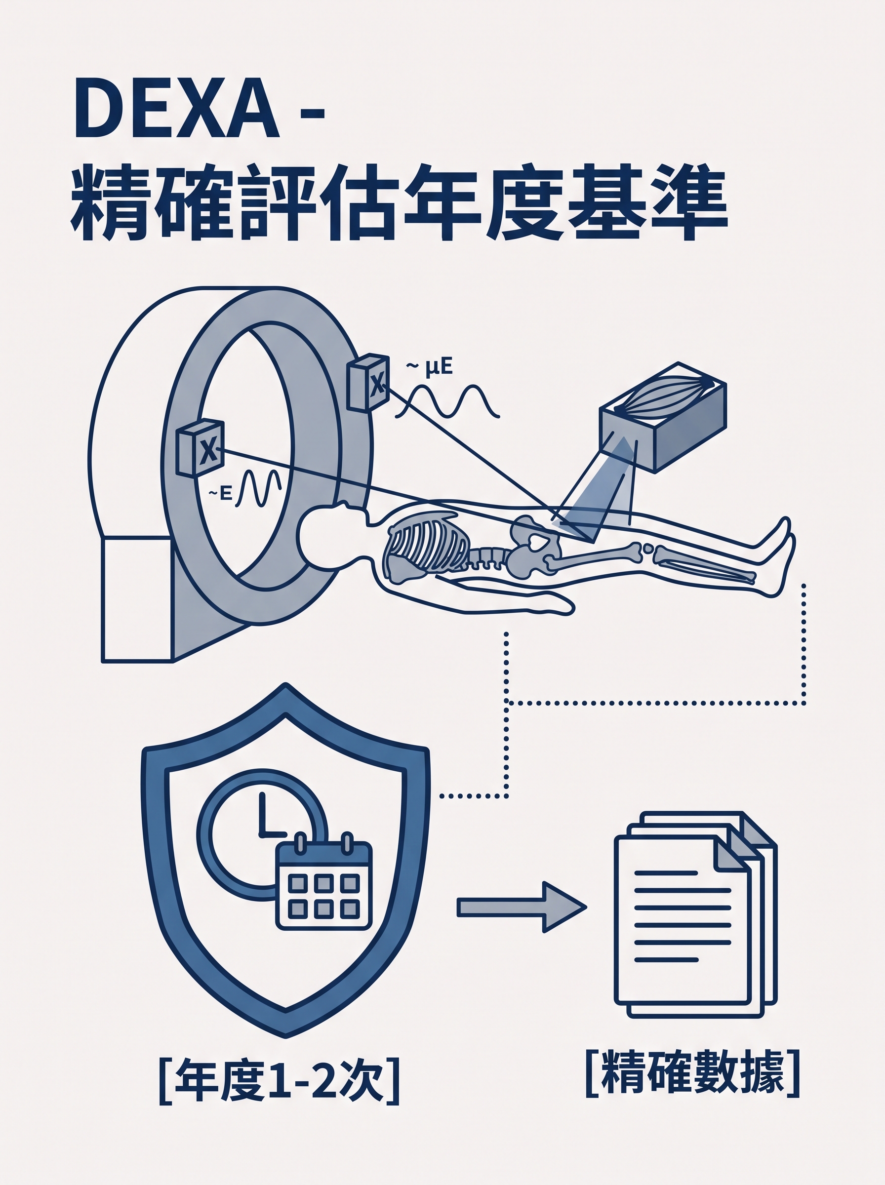 體脂率怎麼測？InBody、DEXA、皮下脂肪夾差別